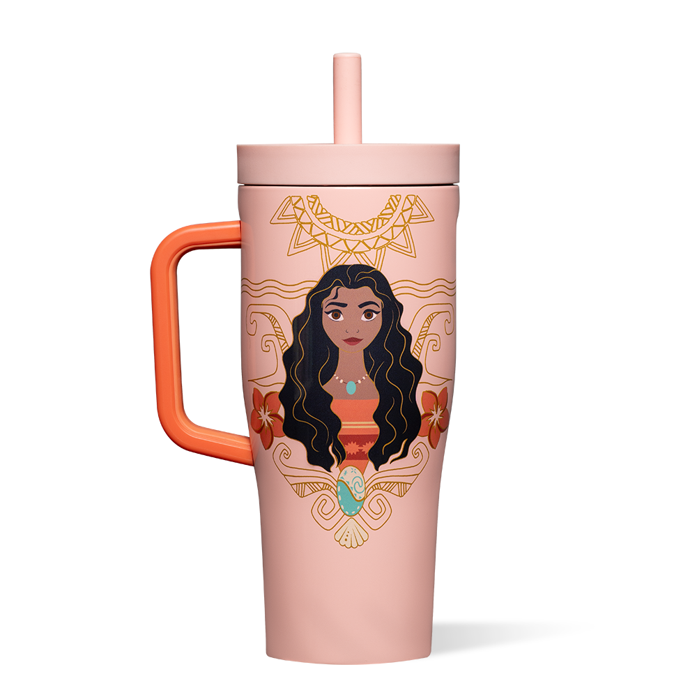 disney-princess-leakproof-cruiser-d5 DIS2222DP-M-01.png