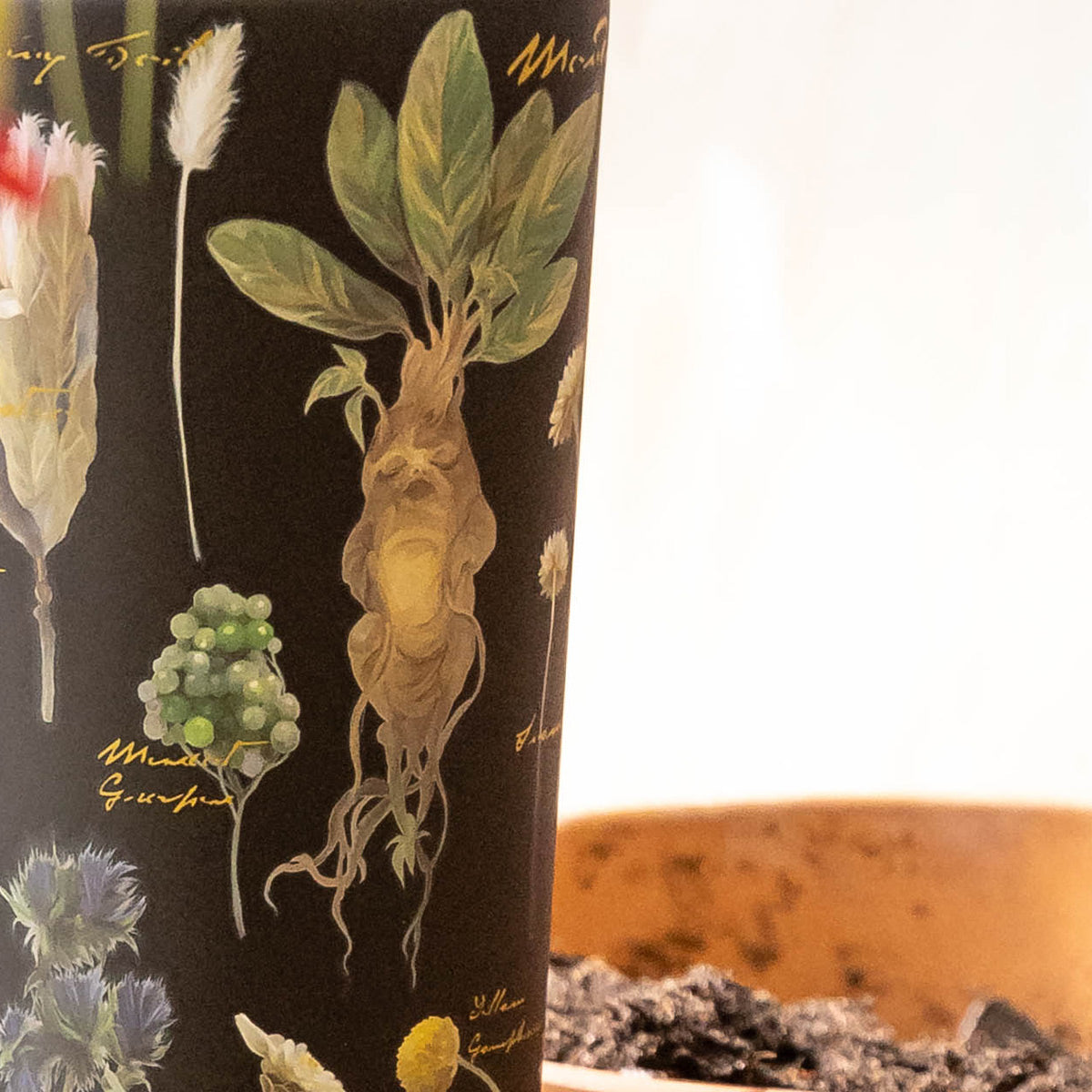 harry-potter-cold-cup-k2 Herbology-3.jpg