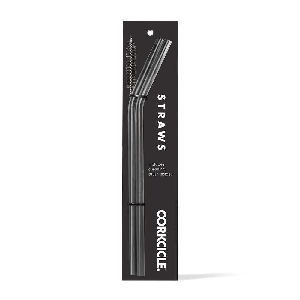 tumbler-straw-2-pack-c9 gunmetal.png